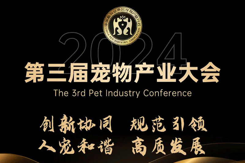 福貝寵食黃莉：時代變軌，用創(chuàng)新贏得市場，用洞察找到增長路徑