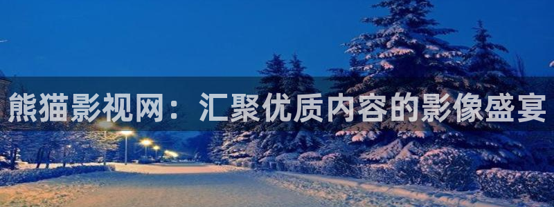 金牌影視大全：熊貓影視網：匯聚優質內容的影像盛宴