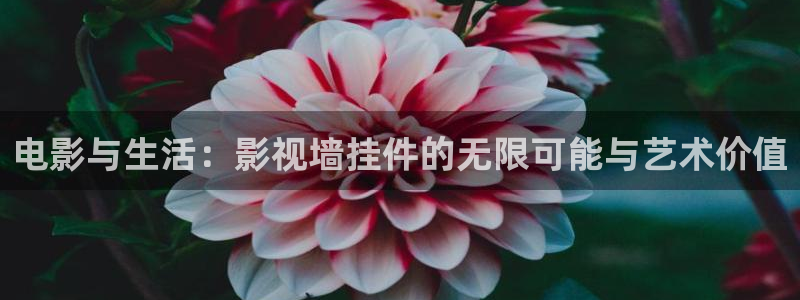 金牌影院免費觀看電視劇在線觀看