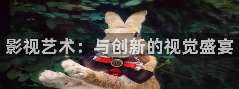 電影金牌：影視藝術：與創新的視覺盛宴