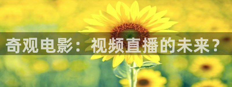 金牌影院電視