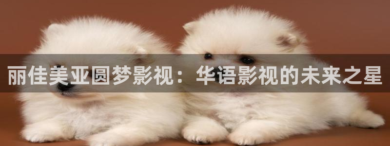 你比星光美麗電視劇免費觀看金牌影院