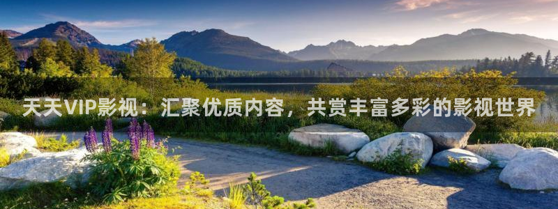 金牌影院入口官網