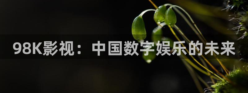 金牌影院免費