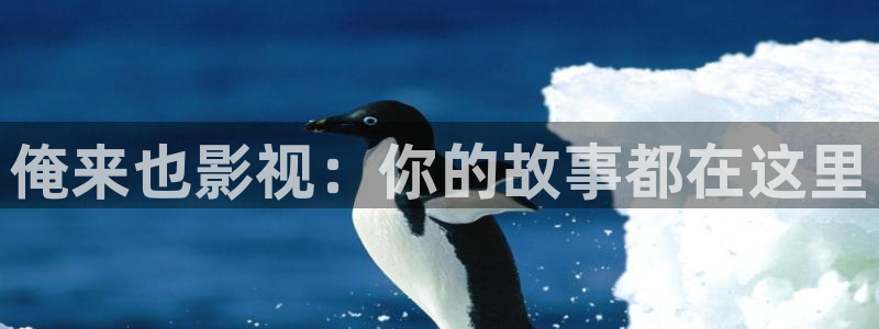 金牌影院怎么下載電影