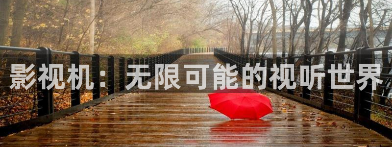 大夢歸離金牌影院