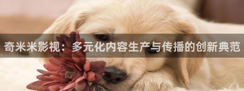 金牌影視官網