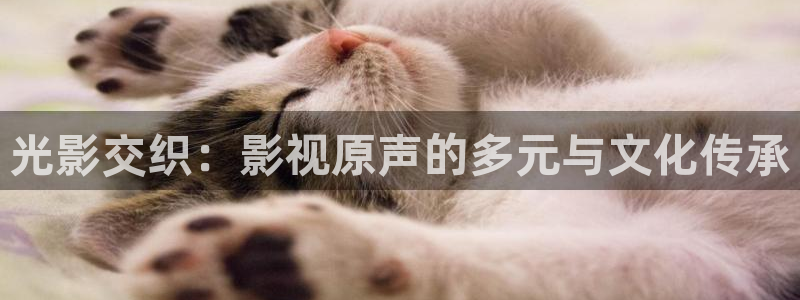 金牌影院免費(fèi)